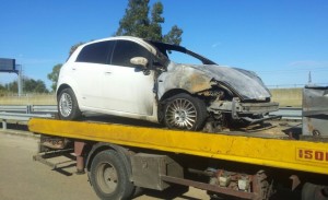 Auto Elefante