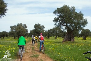ciclotrekking-millenari-di-puglia
