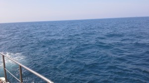 L'avvistamento dei naufraghi