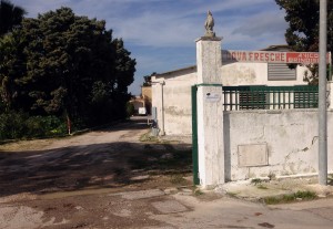 azienda-avicola-brindisina