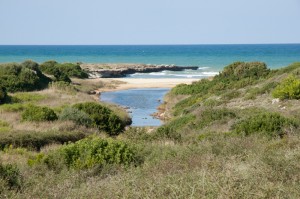 Pasqua_millenaridipuglia