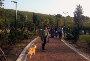 pasquetta-cillarese
