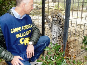 CFS ANIMALI ESOTICI