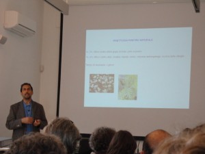 agricoltura naturale (2)