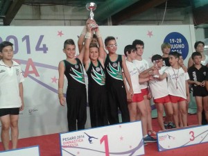 Ginnastica artistica - Campionati nazionali Pesaro Giugno 2014 (3)