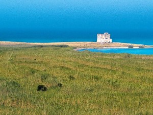 Torre_Guaceto_panorama