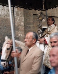cavallo-parato-mons-todisco
