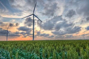 energia_eolica_italia[1]