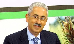tomaselli