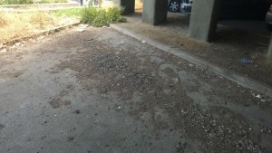 escrementi via tor pisana