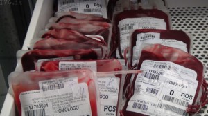 sangue 0 pos