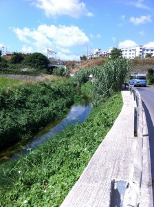 Canale Patri