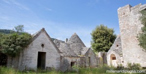 Millenari di Puglia