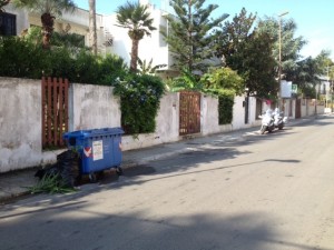 cani casale