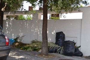 raccolta_gioia (3)
