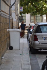 raccolta_gioia (6)
