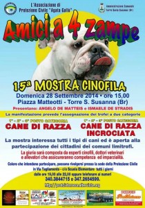 amici a 4 zampe torre