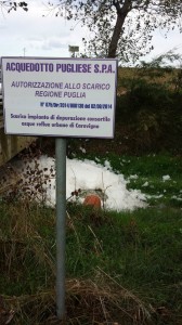 autorizzazione scarico torre guaceto