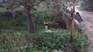 autorizzazione scarico torre guaceto 2