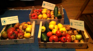 frutta