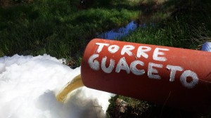 torre guaceto