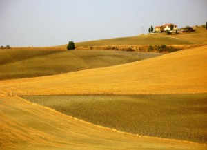Campagna_Senese-Val_D_Orcia_[1]