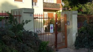 scarti di potatura (3)