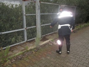 pista ciclabile (3)