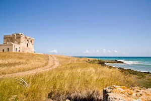 torre guaceto