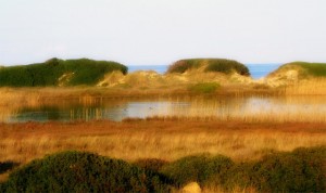 parco-dune-costiere