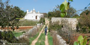 valle-ditria-millenari-di-puglia