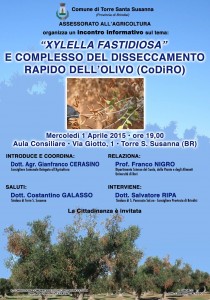 xylella torre