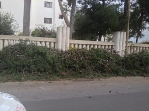 via del pinedo 3