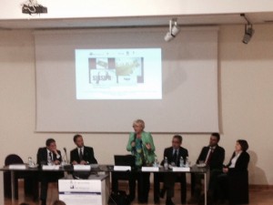 SIRSIPA WORKSHOP