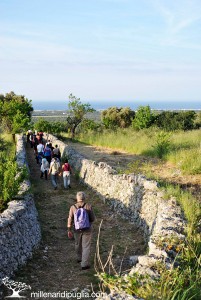 millenari di puglia