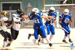 BRINDISI BUCKS