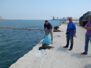 sequstro cozze 110615 3