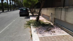 foto paradiso (6)