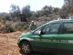 incendio parco agnano (2)