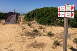 punta-penne-serrone