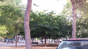 piazza sapri