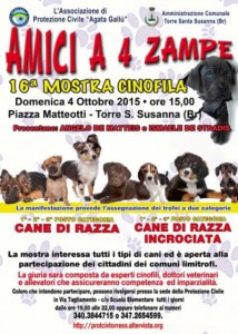 amici a 4 zampe