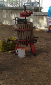 vendemmia don milani (1)