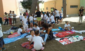 vendemmia don milani (3)