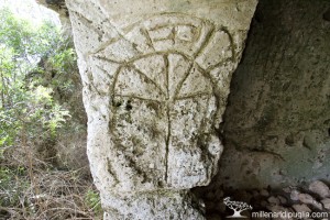 Lamacornola Millenari di Puglia