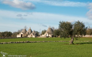 Masseria Cantone Millenari di Puglia