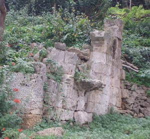 fontana_monsignore3[1]
