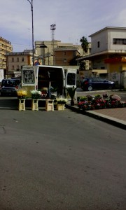 fiorai abusivi (2)