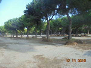 piazzale stadio (3)