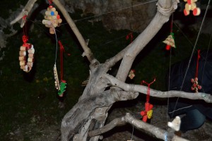 ostuni green riot (2)
